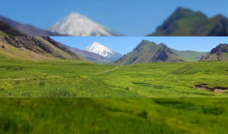 تست