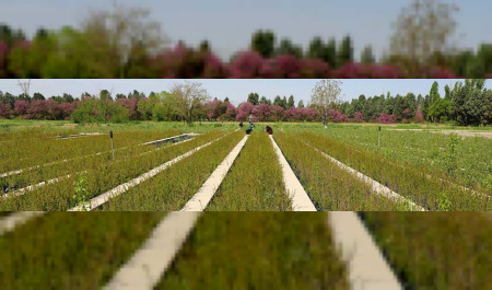 تست