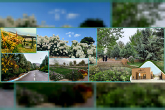 زیبایی طبیعت دانشگاه