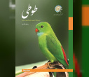 طوطی 1